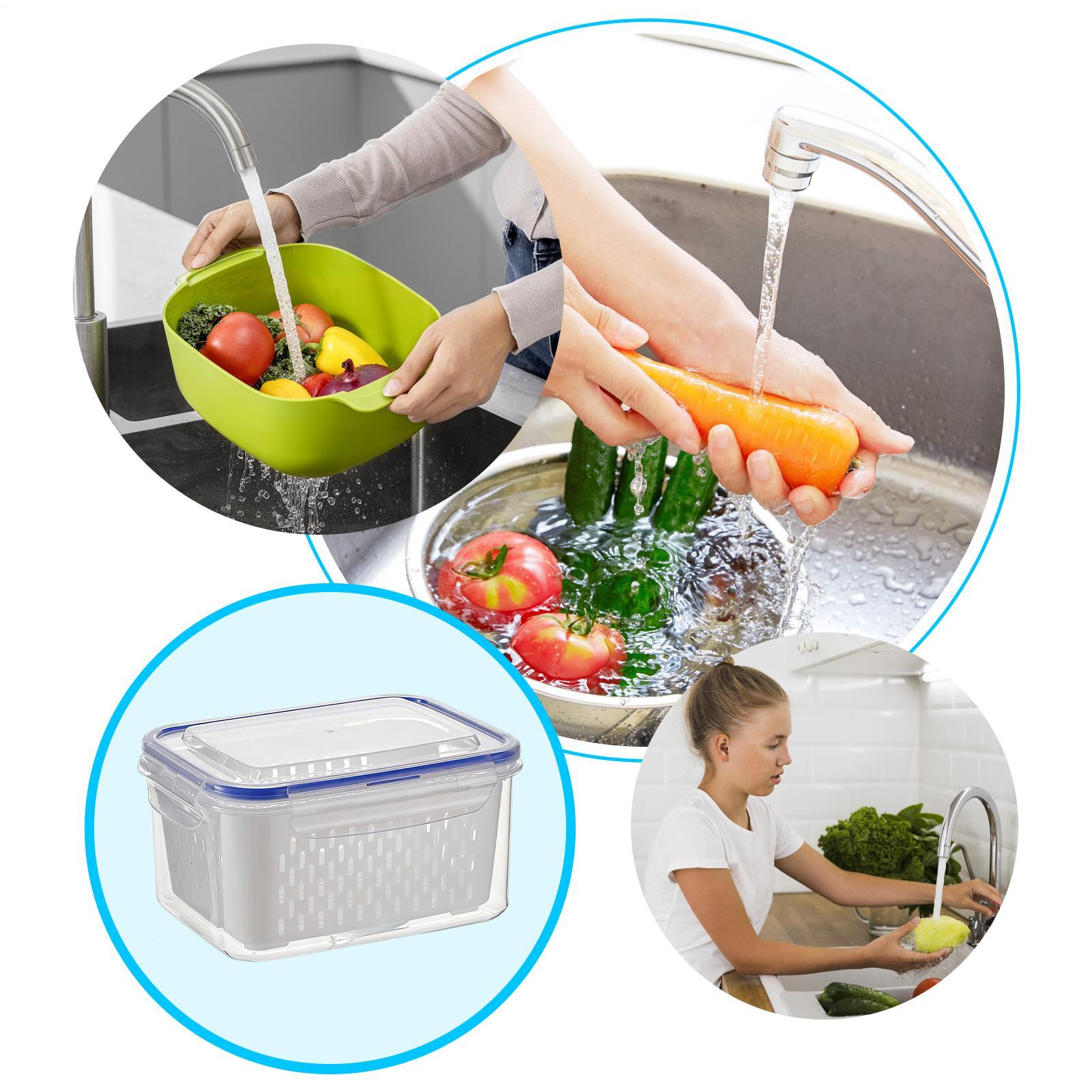 4 In 1 Food Storage Container  - đánh giá và giá Food Storage For Refrigerator