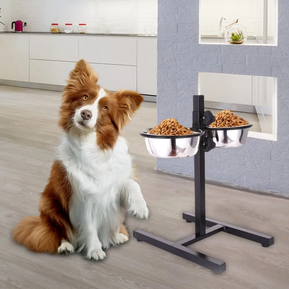 Pet Water Bowl Stainless Steel - đánh giá và giá Storage Tips For Food