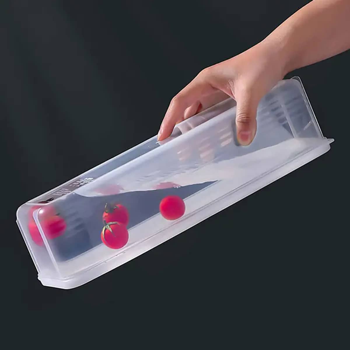 1 Plastic Transparent Storage  - đánh giá và giá Food Storage For Refrigerator